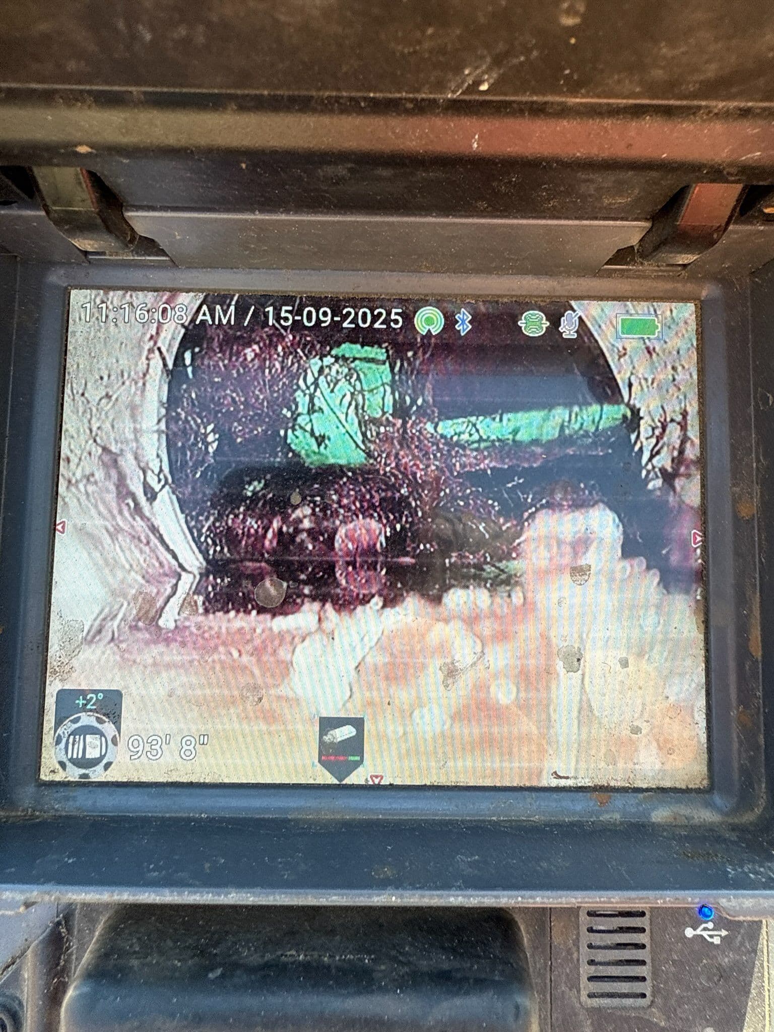 Project Got Roots? Pipe Invasion Detected in San Luis Obispo image