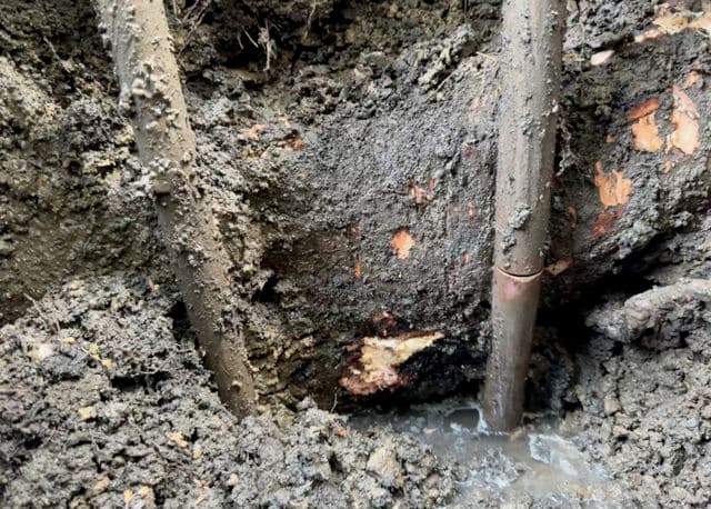 Project Tree Root Problem Solved in San Luis Obispo: Quick and Efficient Water Line Repair image