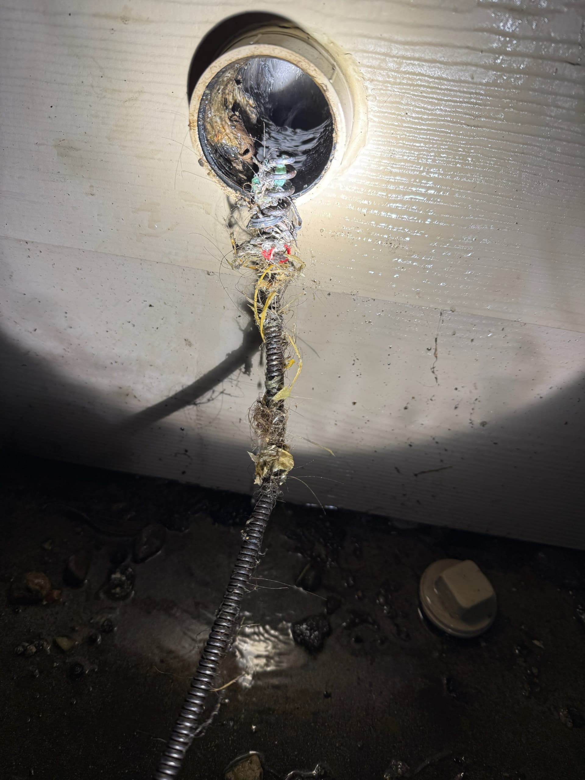 Tackling Drain Clogs in Five Cities