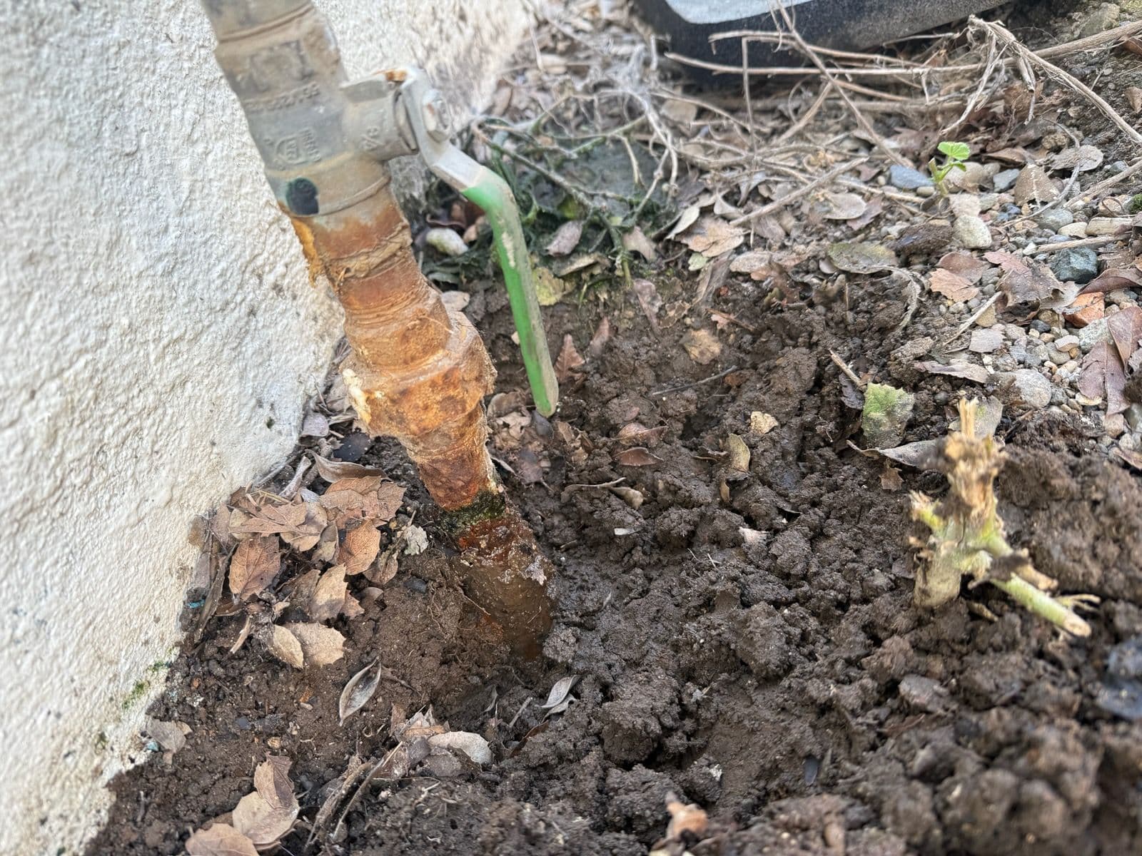 Outdoor and Indoor Plumbing TLC in Santa Maria